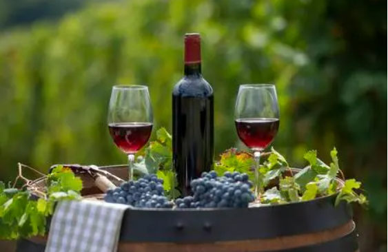 红酒品鉴之旅：从葡萄园到你的杯中