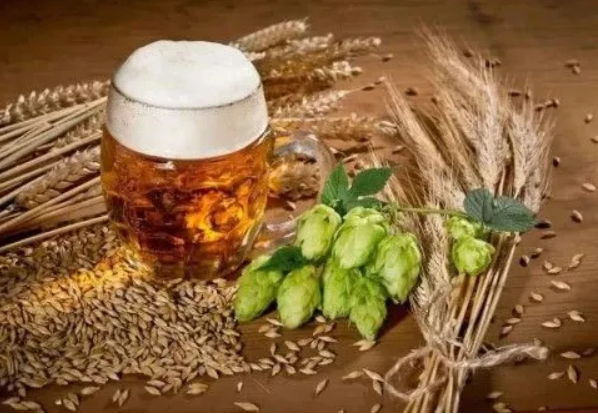 从麦芽到酒杯：啤酒生产的全过程解析